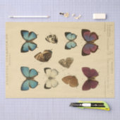  Ephemera Script Blue Butterfly Decoupage Tissuepapier (Craft)