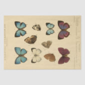  Ephemera Script Blue Butterfly Decoupage Tissuepapier (Voorkant)