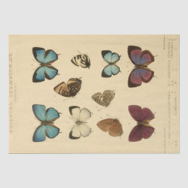 Ephemera Script Blue Butterfly Decoupage Tissuepapier
