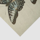 Ephemera Script Blue Butterfly Decoupage Tissuepapier (Detail)