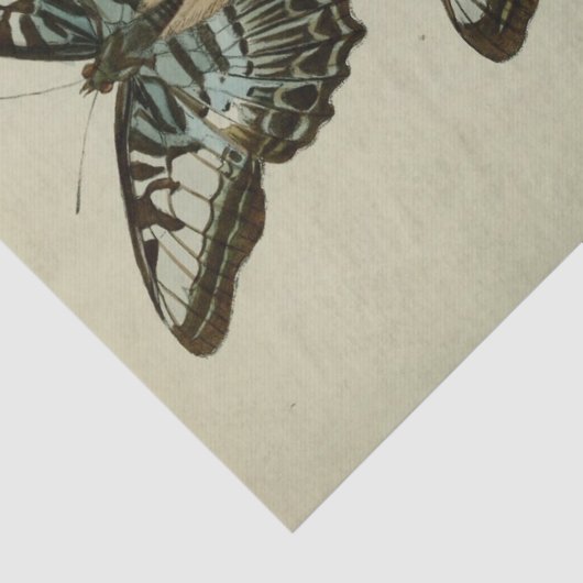 Ephemera Script Blue Butterfly Decoupage Tissuepapier (Detail)