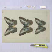 Ephemera Script Blue Butterfly Decoupage Tissuepapier (Craft)