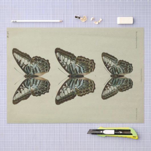 Ephemera Script Blue Butterfly Decoupage Tissuepapier (Craft)