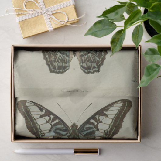  Ephemera Script Blue Butterfly Decoupage Tissuepapier (Geschenk)