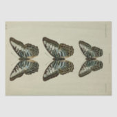 Ephemera Script Blue Butterfly Decoupage Tissuepapier (Voorkant)