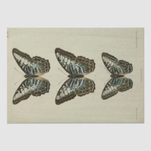 Ephemera Script Blue Butterfly-lospagina Tissuepapier