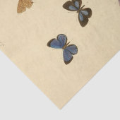 Ephemera Script Butterfly Decoupage Tissuepapier (Detail)