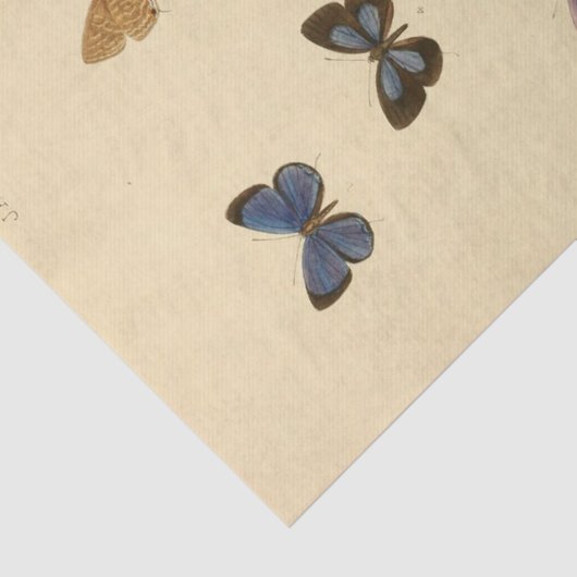  Ephemera Script Butterfly Decoupage Tissuepapier (Detail)