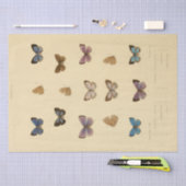 Ephemera Script Butterfly Decoupage Tissuepapier (Craft)