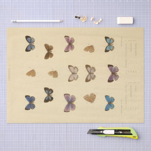  Ephemera Script Butterfly Decoupage Tissuepapier (Craft)