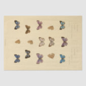  Ephemera Script Butterfly Decoupage Tissuepapier (Voorkant)