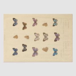 Ephemera Script Butterfly Decoupage Tissuepapier