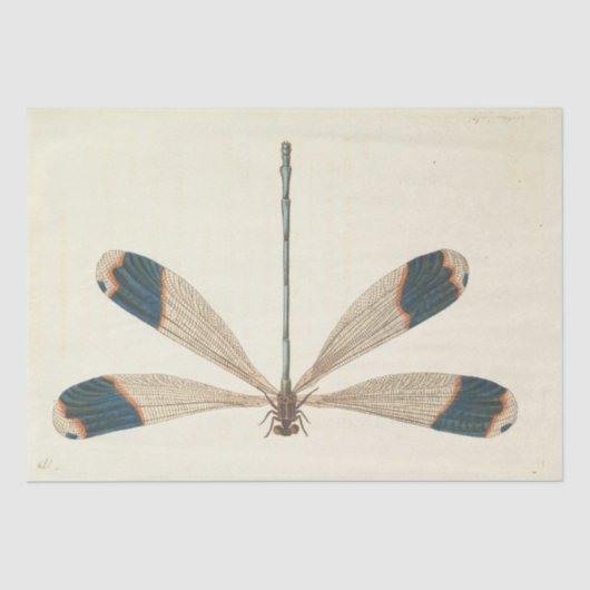 Ephemera Script Dragonfly Decoupage Tissuepapier (Voorkant)