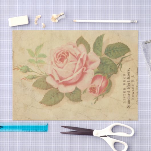 Ephemera Sheet Design Series #10 Tissuepapier (Craft)