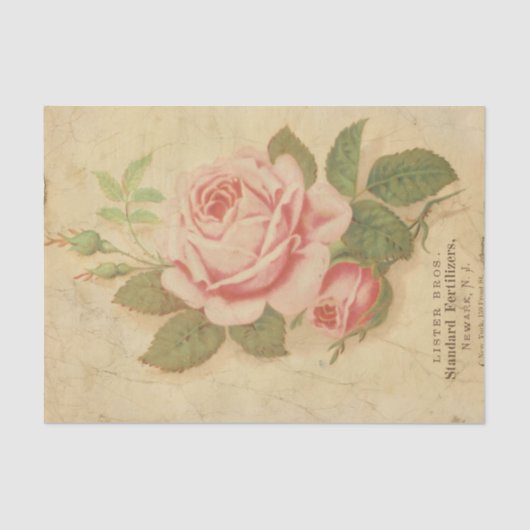 Ephemera Sheet Design Series #10 Tissuepapier (Voorkant)