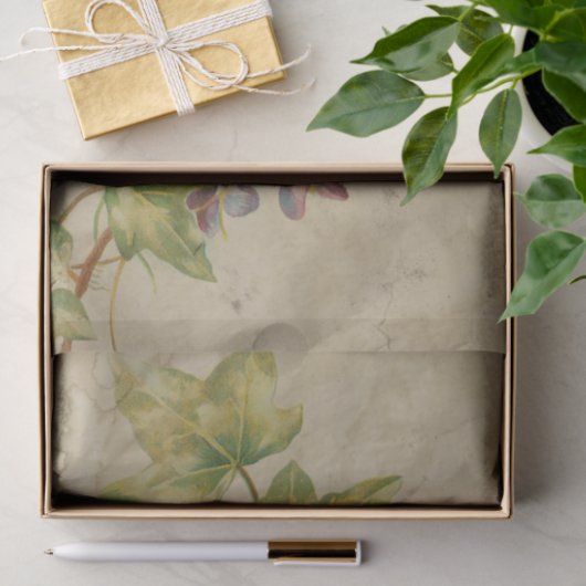 Ephemera Sheet Design Series #5 Tissuepapier (Geschenk)