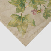 Ephemera Sheet Design Series #5 Tissuepapier (Detail)