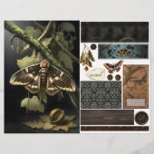 Ephemera Sheet - Woodland Moth (Voorkant)