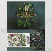 Ephemera Sheet - Woodland Moth (Voorkant)