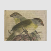 Ephemera Vogels en Manuscript Tissuepapier (Voorkant)