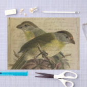 Ephemera Vogels en Manuscript Tissuepapier (Craft)