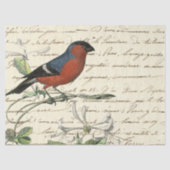 Ephemeral Birds Series Design One Tissuepapier (Voorkant)