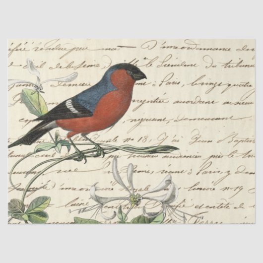 Ephemeral Birds Series Design One Tissuepapier (Voorkant)