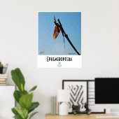 Ephemeroptera - Poster (Thuiskantoor)