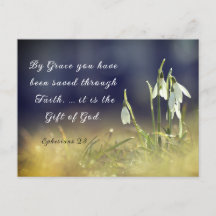Ephesianen 2:8 van Grace U hebt bijbel bewaard