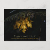 Ephesians Briefkaart (Voorkant)