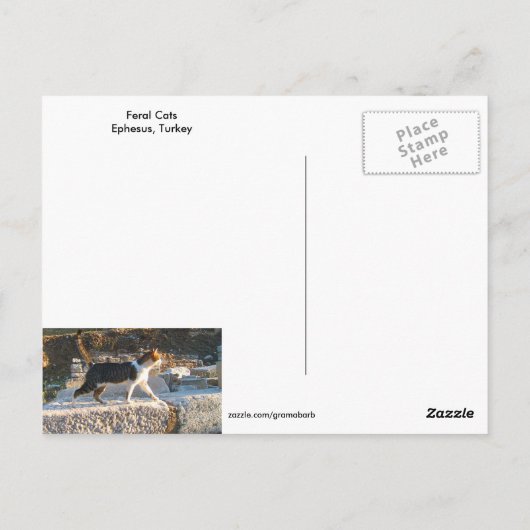 Ephesus Cats Briefkaart (Achterkant)