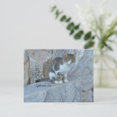 Ephesus Feral Cat Briefkaart (Staand voorkant)