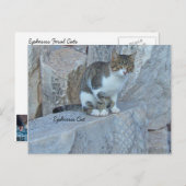 Ephesus Feral Cat Briefkaart (Voorkant / Achterkant)