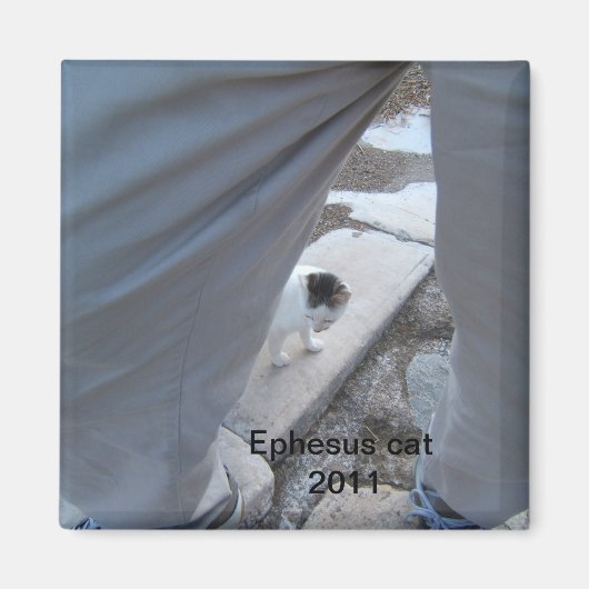 Ephesus kattenmagneet magneet (Voorkant)