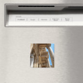 Ephesus, Turkije Magneet (Insitu (Vaatwasser))
