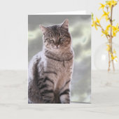 Ephraim's kat kaart (Gele Bloem)