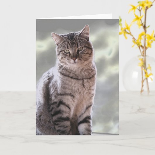 Ephraim's kat kaart (Gele Bloem)