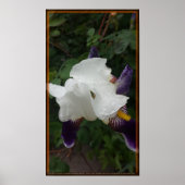 Epic Flower 1 Poster (Voorkant)