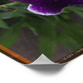 Epic Flower 3 Poster (Hoek)