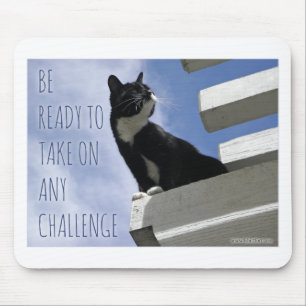 Epic Motivatie Challenge Motivatie Kat Quote Muismat