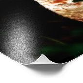 Epic Mushroom Foto Afdruk (Hoek)