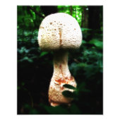 Epic Mushroom Foto Afdruk (Voorkant)