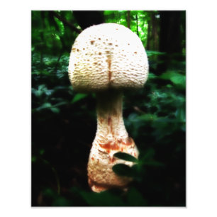 Epic Mushroom Foto Afdruk