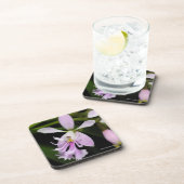 Epidendrum caligarium bier onderzetter (Rechterzijde)