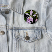 Epidendrum caligarium ronde button 5,7 cm (In situ)