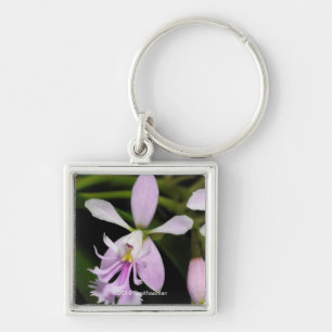 Epidendrum caligarium sleutelhanger