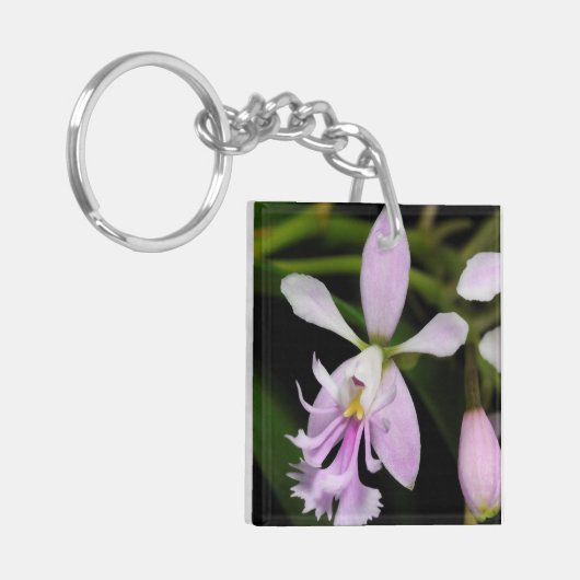 Epidendrum caligarium sleutelhanger (Voorkant Links)