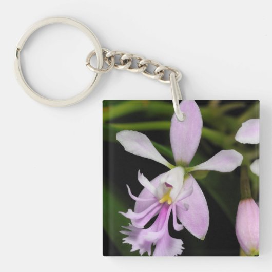 Epidendrum caligarium sleutelhanger (Voorkant)