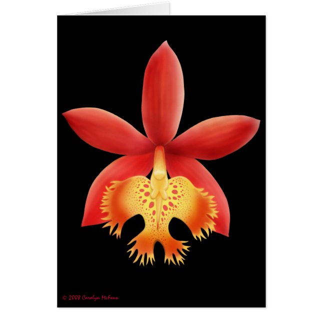 Epidendrum Orchid Flower Card (Voorkant)