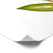 Epidendrum radicalen oranje grondwater poster (Hoek)